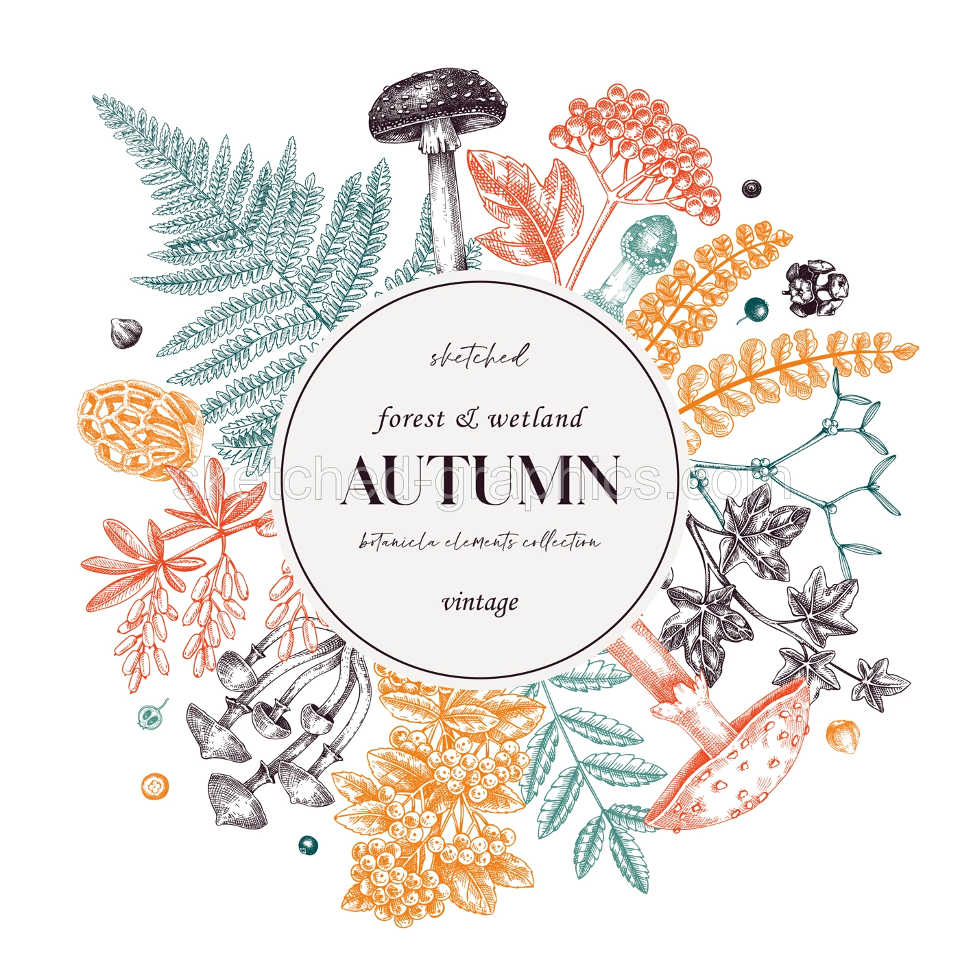 Thanksgiving Wreath With Fall Leaves Illustration